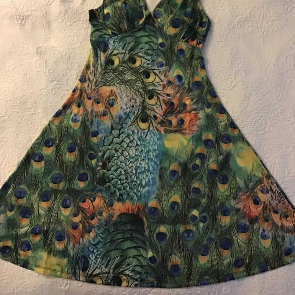 Peacock Swing Dress - Picture 4 of 6